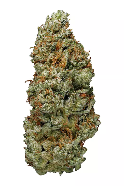 Lime OG