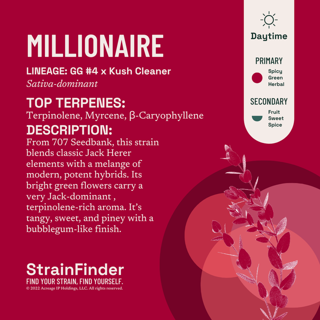 Millionaire The Botanist