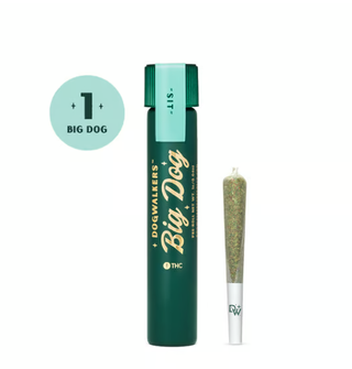 Big Dogs Animal Face Preroll Dogwalkers