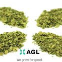 Go-Gurtz  Half Ounce AGL