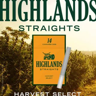 Fog Dog Highlands