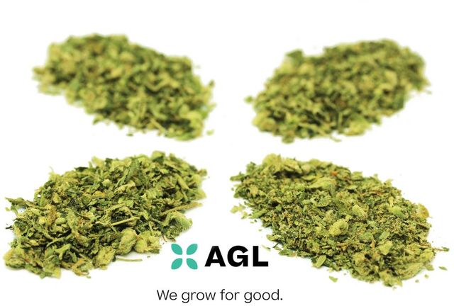 95 Cookies Half Ounce AGL
