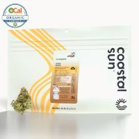 Crumpets OCAL Sungrown Coastal Sun
