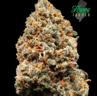 Bobby Bubba Kush Happy Farmer
