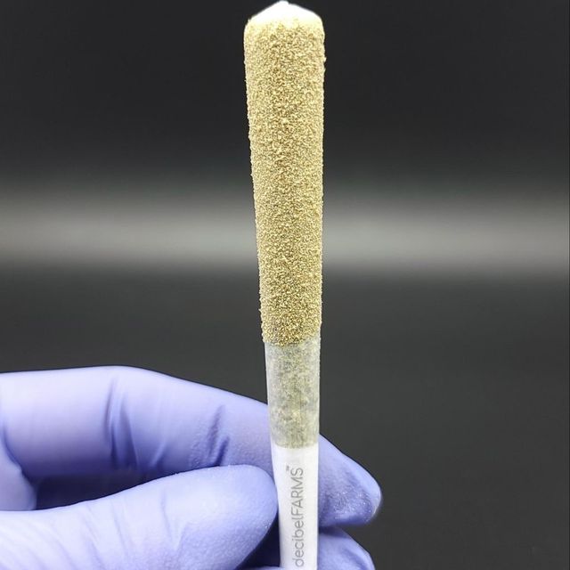 Durban Rntz Decibel Farms