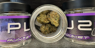 Runtz BX1 - 3.5g  Plu2o