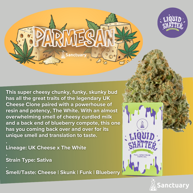Parmesan Liquid Shatter