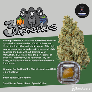 Baller Jar - 3 Gorillas - Cured Resin Volcanna