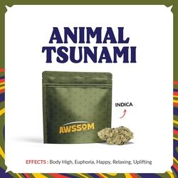 Animal Tsunami Awssom