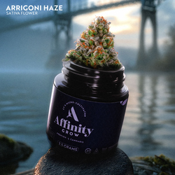 Arrigoni Haze