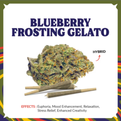 Blueberry Frosting Gelato