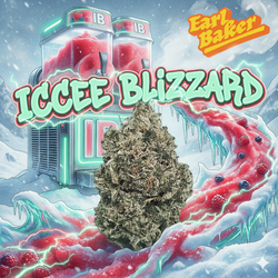 Iccee Blizzard Earl Baker