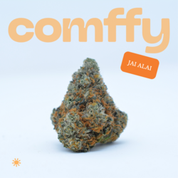 Jai Alai comffy