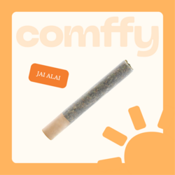 Jai Alai comffy