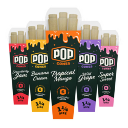 Pop Cones Unbleached 1 1/4 78mm x 48mm Assorted Fl