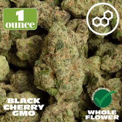 Black Cherry GMO Theraplant