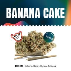 Banana Cake #20 Shaka