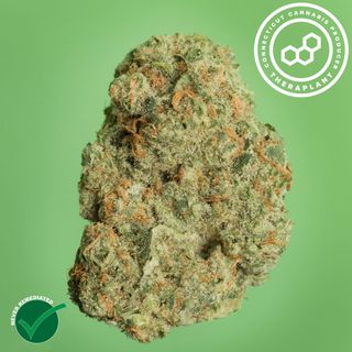 Banapple Medellin Theraplant