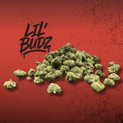Chem Lil Budz
