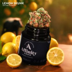 Lemon Skunk Affinity Lemon Skunk Affinity