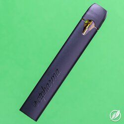 OGKB Stomper Bold CTPharma
