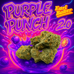 Purple Punch 2.0 (Disposable)