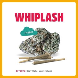 Springtime WPH Singles 1g