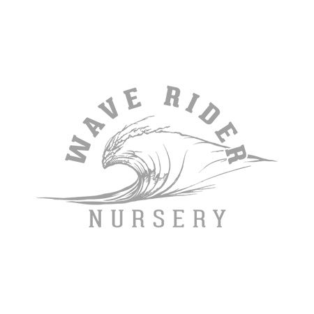 Wave Rider - Flower Jar Premium - Lemon Zest - 3.5 Wave Rider