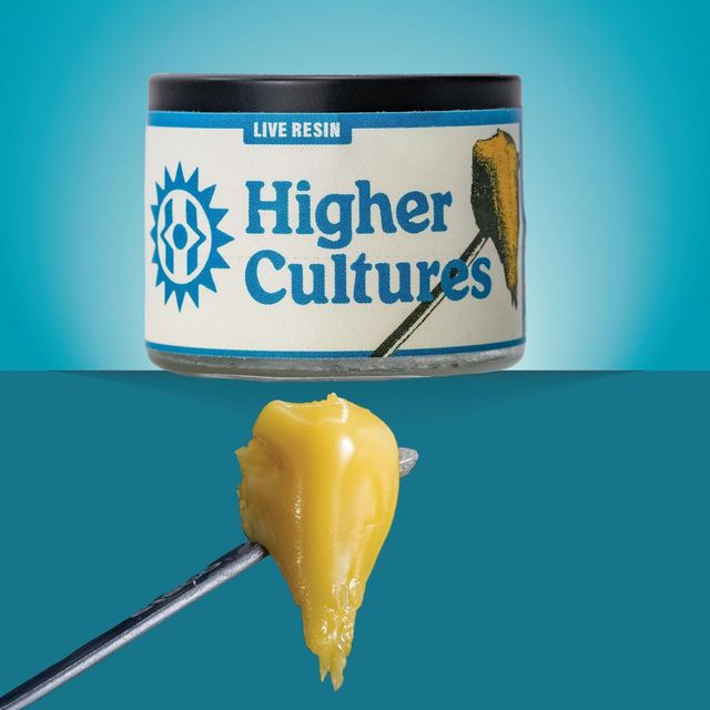 Galactic Gary Sugar Higher Cultures