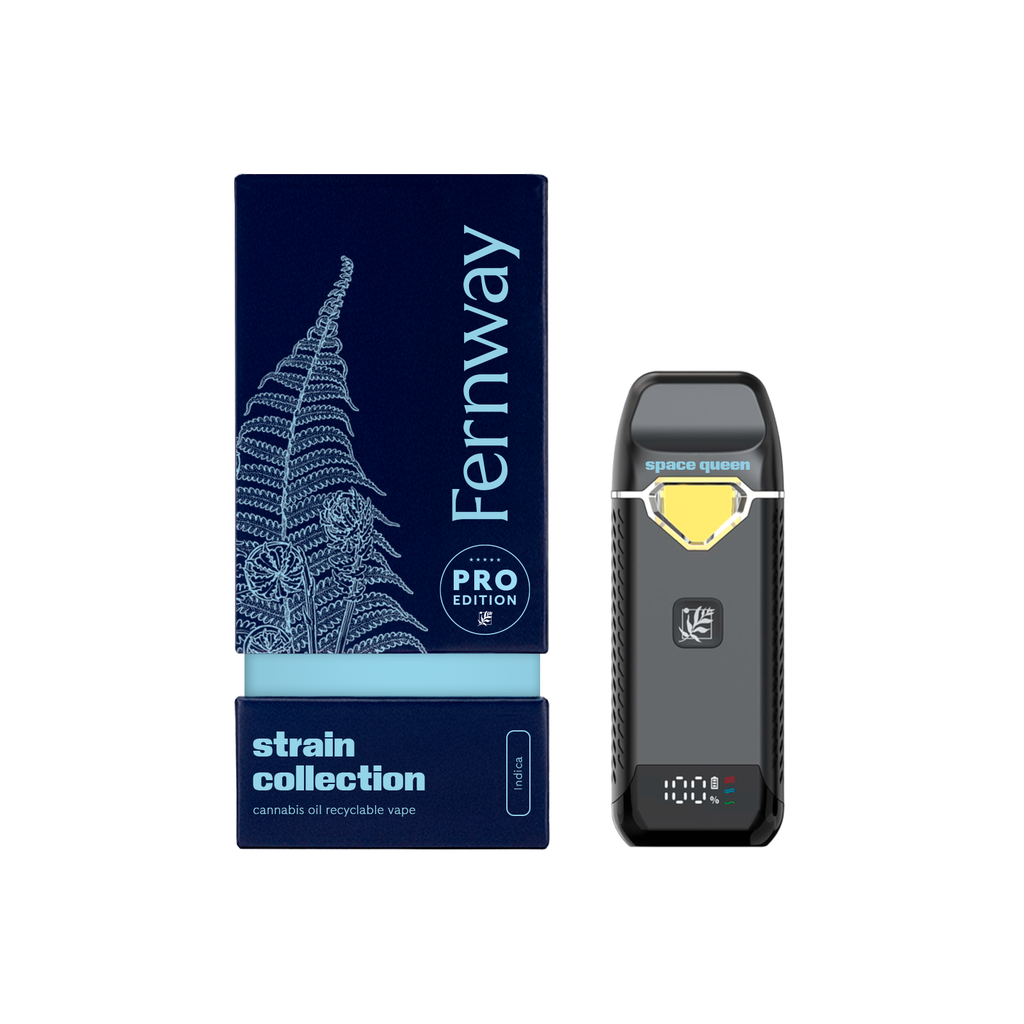 Buy Space Queen 2g Disposable online - Authorized Dealer (Jersey City) |  Jersey City | New Jersey