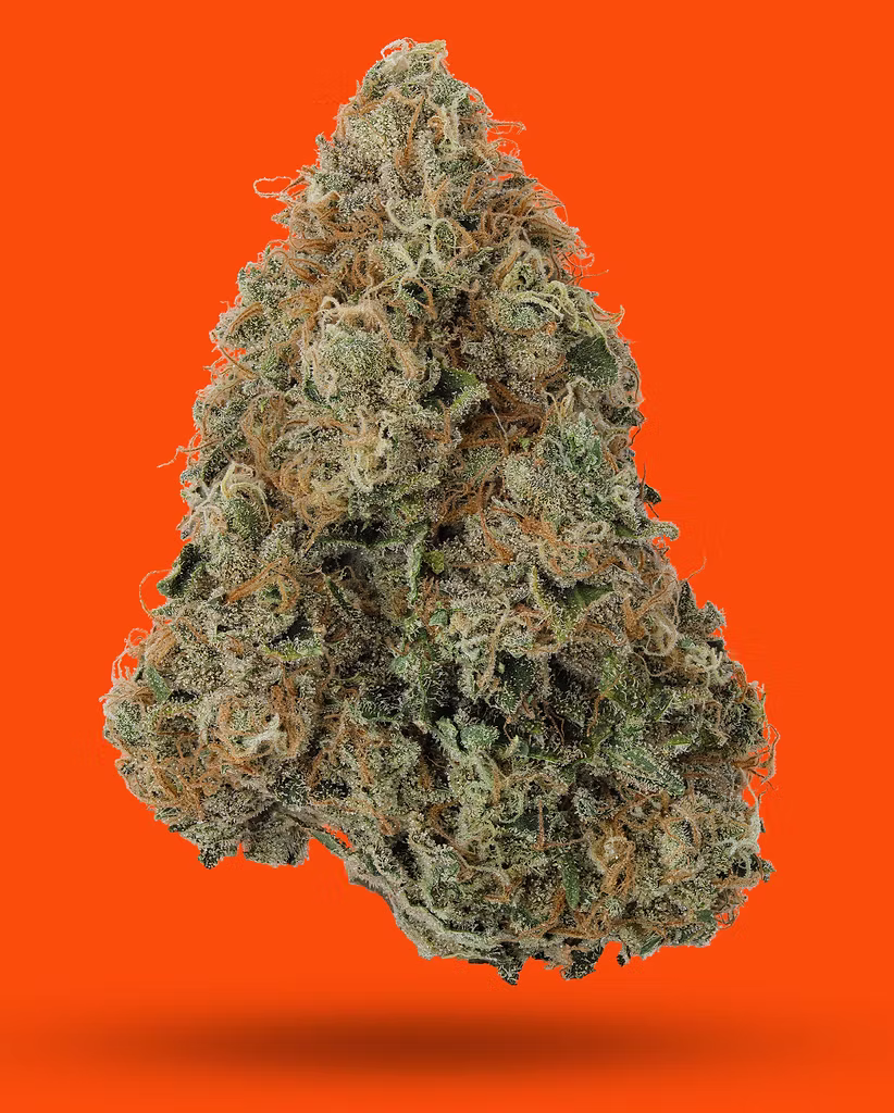 Chem Fruit Ic Collective