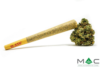 LA Beatnik Mass Alternative Care