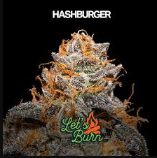 Hash Burger
