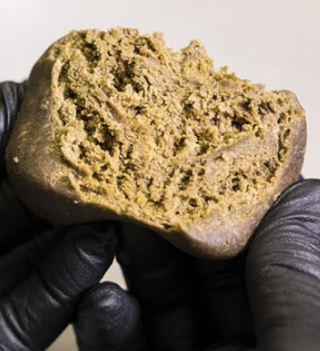 Sativa Moroccan Greenery
