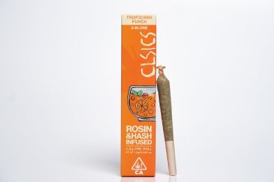 Tropicana Punch TRIFECTA Preroll CLSICS