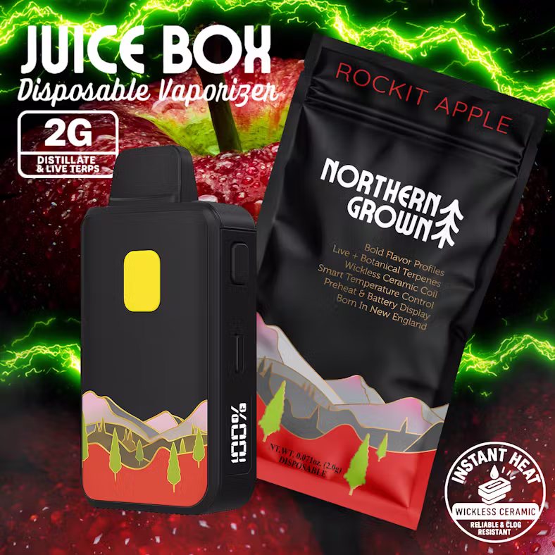 Rockit Apple Juice Box 2G Disposable Northern Grown