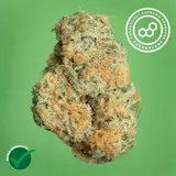Black Cherry GMO