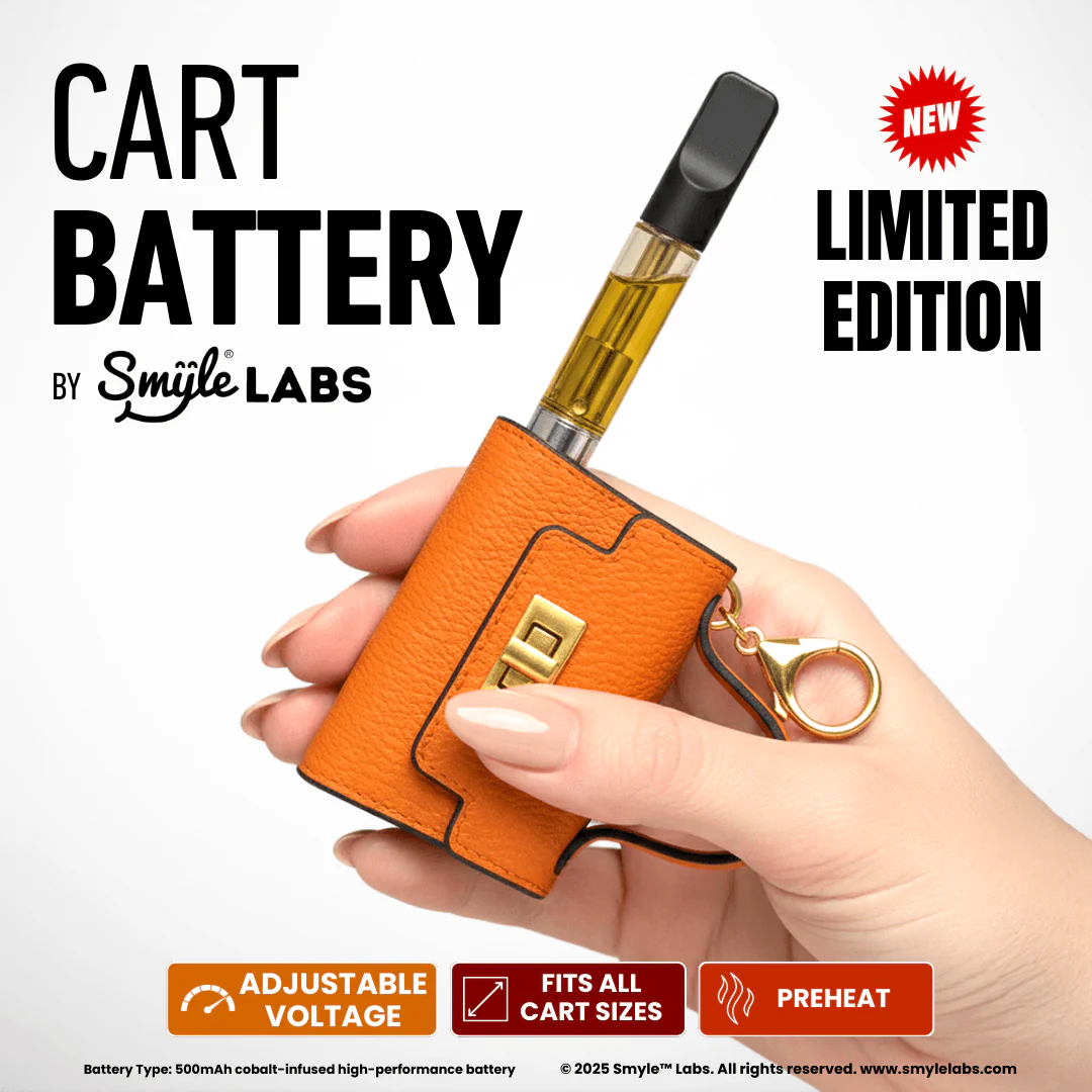 Pursejamin Handbags - Orange Harmoine - One Size Smyle Labs Pursejamin Handbags - Orange Harmoine - One Size Smyle Labs