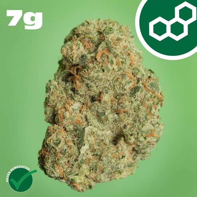 Banapple Medellin Theraplant