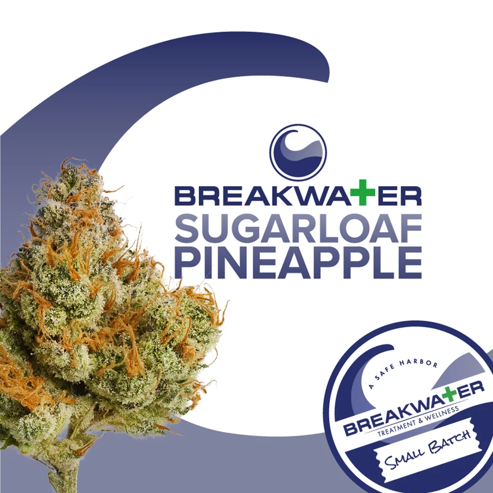 Sugarloaf Pineapple Breakwater