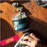 Jack Herer