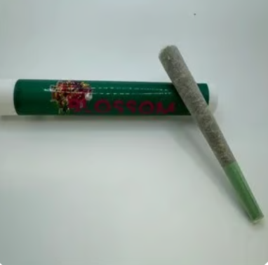 Bananaconda  Blossom Flower