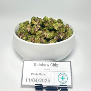 Rainbow Chip Summit