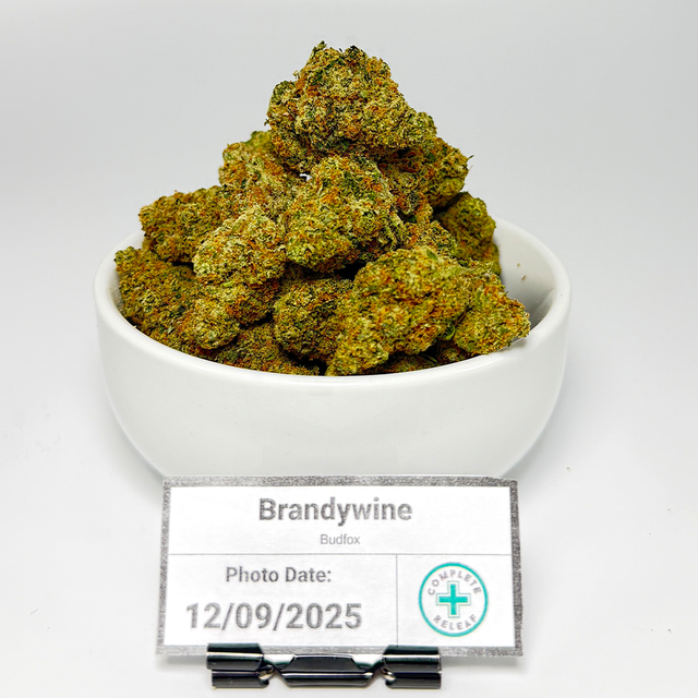 Brandywine Bud Fox