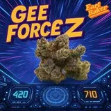 Gee Forcez