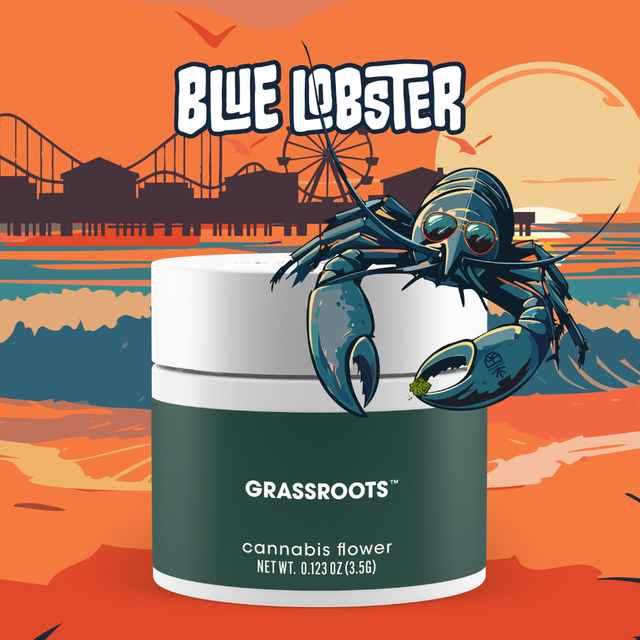 Blue Lobster Grassroots Blue Lobster Grassroots