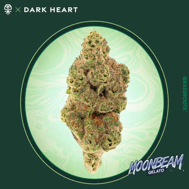 Moonbeam Gelato Dark Heart Moonbeam Gelato Dark Heart