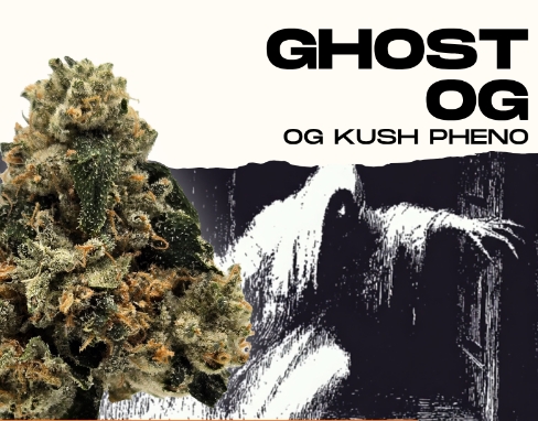 Ghost OG