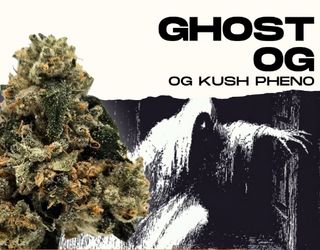 Ghost OG Legacy Ghost OG Legacy