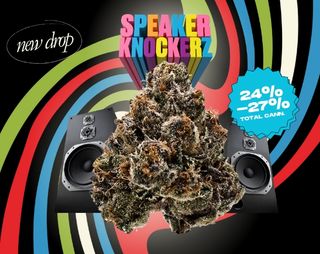 Speaker Knockerz Stoner Village